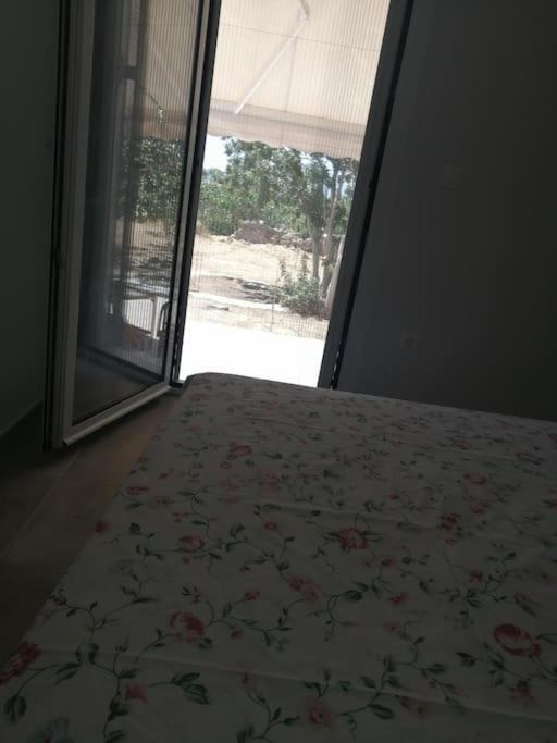 Natalia's Serene Hub Aegina