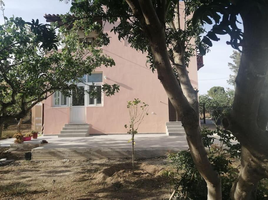 Apartment Natalia's Serene Hub Aegina